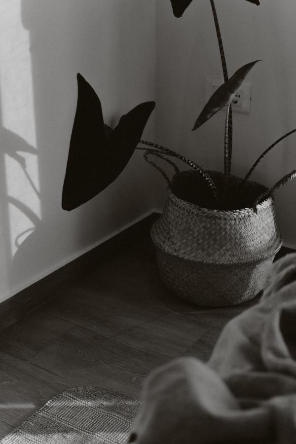 Casa Costa Suites คานาลี ภายนอก รูปภาพ